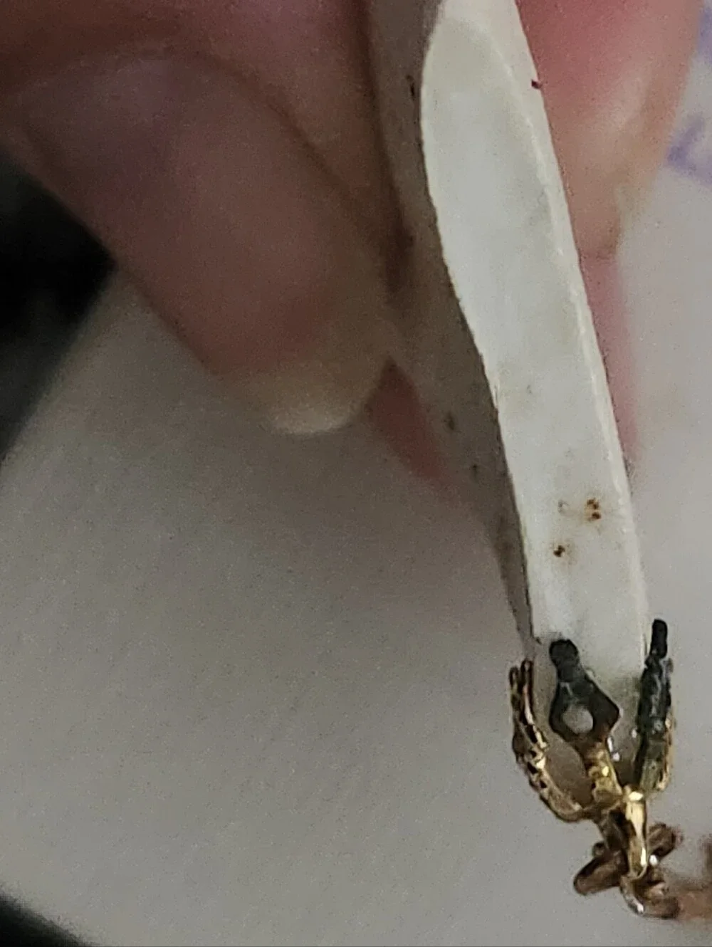 Handmade unique shell